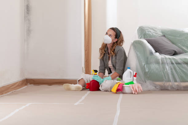 Reliable Mold Testing contractor in Cresson, TX by WQB Mold Removal
